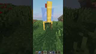 minecraft meme [upl. by Adnuahs47]