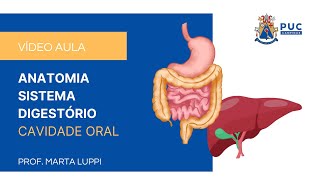 CAVIDADE ORAL  SISTEMA DIGESTÓRIO  ANATOMIA VETERINÁRIA [upl. by Olenka]