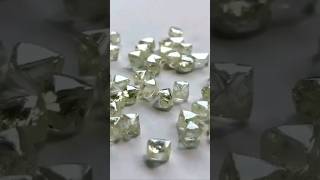 Gem Quality Natural Rough Diamonds shorts viral [upl. by Ginsburg]