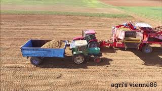 Ramassage de pommes de terres 2018  case ih maxxum 125 [upl. by Allisurd]