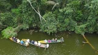 Chalalan Ecolodge as the Macao flies [upl. by Sallyann]