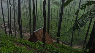 Soothing Rain and Thunder Soundscape Full Night Sleep Sanctuary for Rapid Relief  Rainlaxation [upl. by Arayt422]