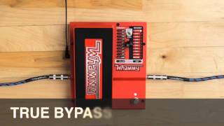 DigiTech Whammy Demo Video with Jonni Lightfoot [upl. by Trebma]