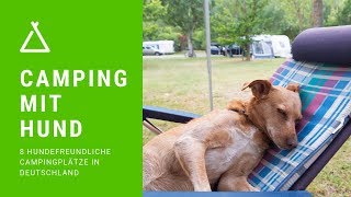 Camping mit Hund – 8 hundefreundliche Campingplätze in Deutschland [upl. by Atteoj]