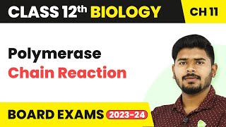 Polymerase Chain Reaction  Biotechnology Principles and Processes  Class 12 Biology 202223 [upl. by Ahsinrat]