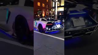 Viral video Lamborghiniheavy load sound🤯🤯 [upl. by Akiv696]