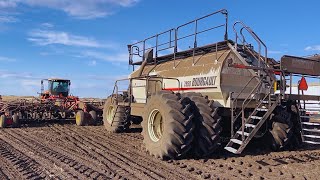 Seeding In The Saskhara Desert [upl. by Lenrad]