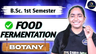 Food Fermentation  BSc Botany 1st Semester  Unit8  NEP2020 [upl. by Erodaeht]