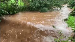 October 2024 dawlish brook flooding mrwoodhall [upl. by Fanestil]