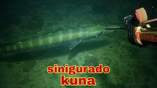 ep453 Dive2 malaking baracuda sinigurado kuna night spearfishing Philippines [upl. by Novad]