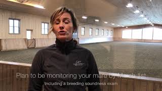 Equine Reproduction When To Have A Breeding Soundness Exam [upl. by Yddet979]