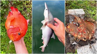 Have you ever eaten shark  Chinese Mountain Forest Life and Food Moo Tik TokFYP [upl. by Eustashe]