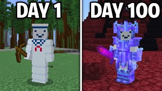 I Survived 100 Days In Minecraft China Edition [upl. by Tahp]