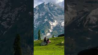 view Kashmir trending video dilwar dilwar [upl. by Temhem]