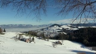 Rossberg Schwyz Winter Day SWITZERLAND 馬山 スイス [upl. by Weaks548]