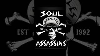 Soul Assassins Full Mixtape on my Channel djmuggs cypresshill soulassassins [upl. by Towne]