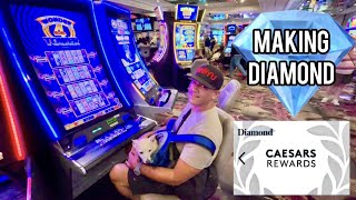 Caesars Rewards  Making DIAMOND for 2024  10X Multiplier Event [upl. by Dasteel]