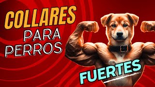 IMPACTANTE COLLARES DE CUERO para PERROS FUERTES ¡HAZ que tu PERRO se sienta INVENCIBLE 🐾💥 [upl. by Gilberto980]