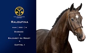 05 Raloufina Diarado x Baloubet du Rouet x Capitol I [upl. by Eisyak]