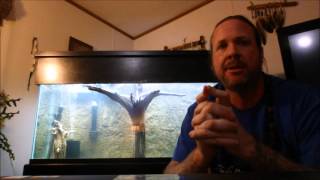 Cycle an aquarium in 2 weeks with Seachem Stability [upl. by Lippold307]