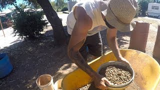 Sapphire hunting in Anakie Gemfields  Central Queensland [upl. by Ruckman288]