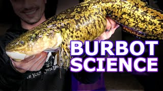 BurbotEelpout Tracking Study Results [upl. by Toole]