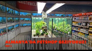 ALMANYADA PETSHOP GEZIYORUZ  PART 2YENI BALIKLAR ALDIM [upl. by Ennayelhsa]