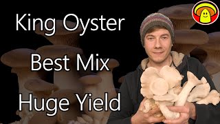 How to Grow King Oyster Mushroom The Best Mixture [upl. by Gninnahc91]