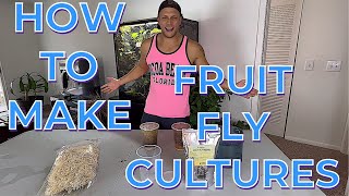 How To Make A Fruit Fly Culture [upl. by Lazos]