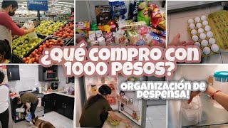 Despensa Quincenal ¿Qué Compro con 1000 Pesos en México  Organización y Limpieza de Despensa [upl. by Anoli]