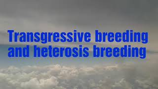 Transgressive breedig and heterosis breeding difference [upl. by Hugues]