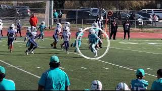 UNDEFEATED SB CHAMPS🥇 Cv Dolphins VS RiverIsland Riptide 8u [upl. by Hceicjow]