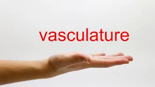 How to Pronounce vasculature  American English [upl. by Thesda]