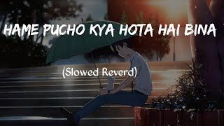 Hame pucho kya hota hai bina Lofi Music Slowed Reverd ASALI LOFI SONGS [upl. by Ailecara]