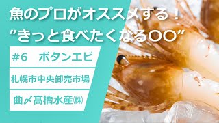 6 ボタンエビ【魚のプロがおすすめする！”きっと食べたくなる○○”】 [upl. by Lux449]