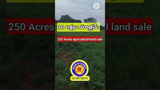 250 Acres Agriculture land sale  Nellore districtDagadarthi near  Acre  10 lakhs [upl. by Cantu237]