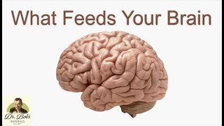 Fuel Your Brain Naturally [upl. by Nodnek]