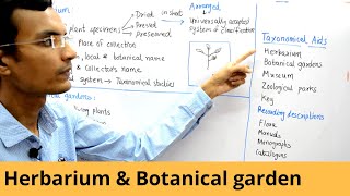 Taxonomical Aids  Herbarium and Botanical Gardens [upl. by Yesiad665]