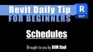 Revit Schedules Tutorial  How to Create and Customize Building Component Schedules in Revit [upl. by Sallad459]