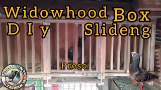 widowhood box DIYslideng door for pigeons Fampson pigeon loft tv [upl. by Damarra]