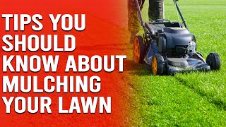 Useful Tips You Should Know About Mulching Your Lawn [upl. by Troyes]