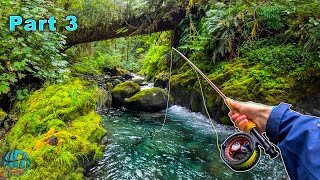 Fly Fishing some INSANE tiny creeks Trout Fishing Washington [upl. by Netram]