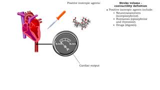 Stroke volume  contractility definition [upl. by Imeon393]