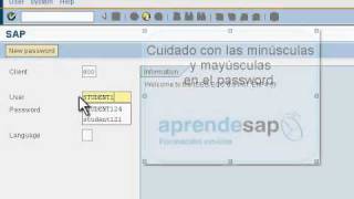 Entra en el sistema SAP por SAP GUI [upl. by Runkle]