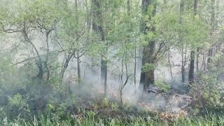 Crews battling wildfire in Croatan National Forest ash falling across ENC 10pm [upl. by Nerraw]