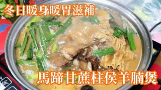 冬日暖心美食：支竹馬蹄甘蔗柱侯羊腩煲｜￼簡單易學，一鍋搞定！｜種芫茜｜野豬又來菜園了｜蘿蔔順利發芽 ￼幼苗健康生長｜ [upl. by Leamaj]