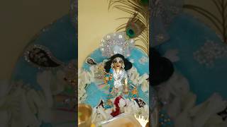 Gublur bhog darshan 💜😱 tum sath ho to mere laddugopal radheradhe radhakrishna ytshortsindia [upl. by Adnav]