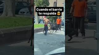 Cuando eres del barrio y los perros te respaldan [upl. by Rekcut]