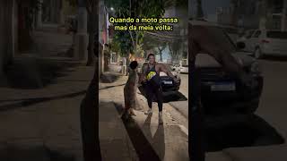 Aí deu ruim kkkkkkkkkk [upl. by Oona]