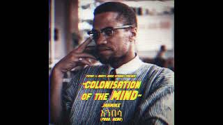 Colonisation Of The Mind  JahMike አንበሳ Prod HEBU Malcolm XTended Mix Prod HEBU amp JahMike አንበሳ [upl. by Grantley]